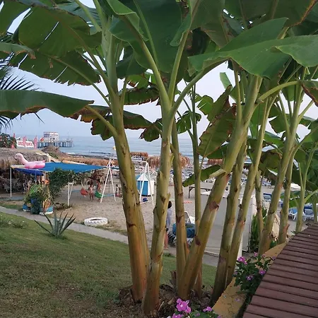 아파트 Oba Suites 알란야